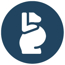 Maternity Wear